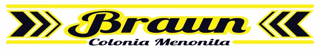 braun-marca-de-palas-min